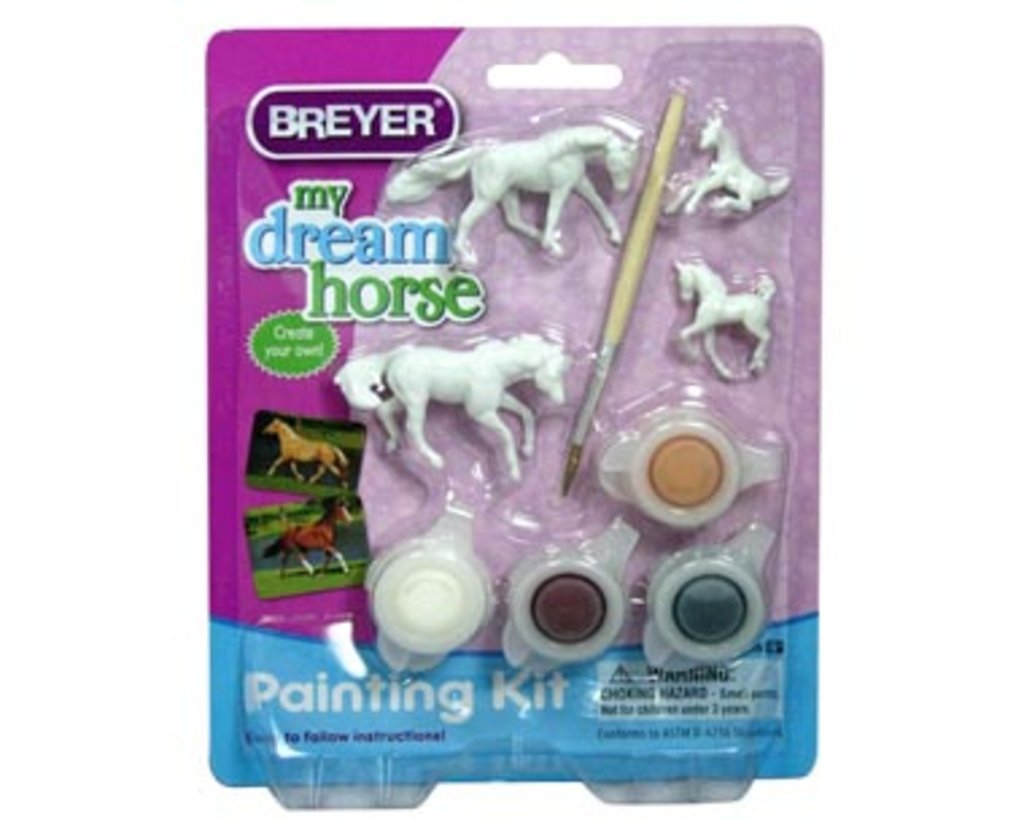 Horse Painting Kit