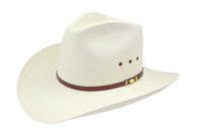 Resistol H Big Spender Straw Hat 10X