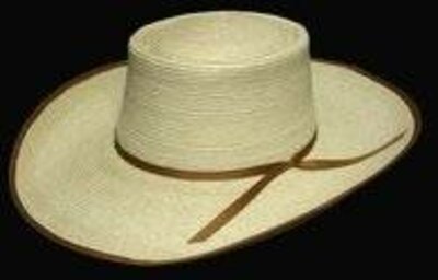Sunbody Reata Palm Leaf Hat