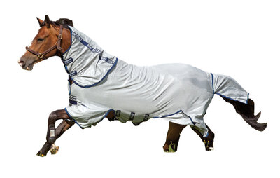 Horseware Ireland Amigo Bug Buster